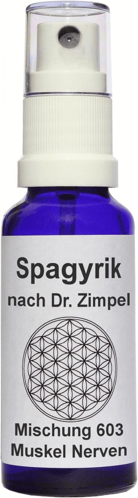 SPAG. MUSKEL NERVEN 603