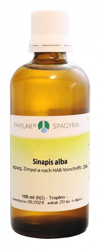 Sinapis alba spag. Zimpel