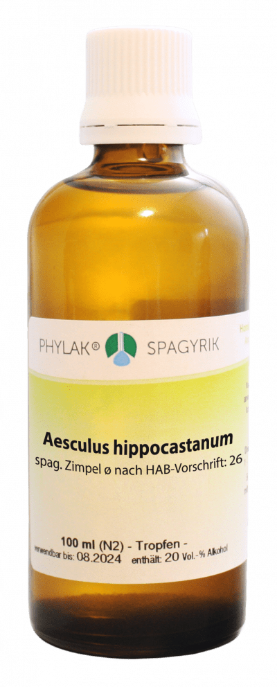 Aesculus hippocastanum spag. Zimpel