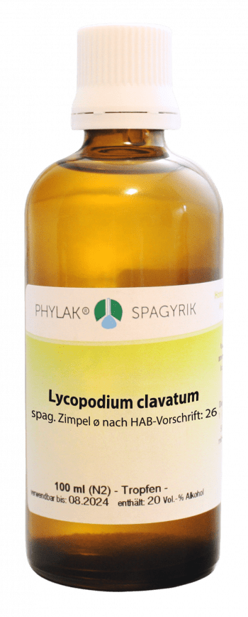 Lycopodium clavatum spag. Zimpel