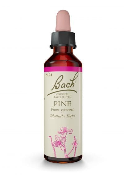 Original Bach®-Blüte Pine