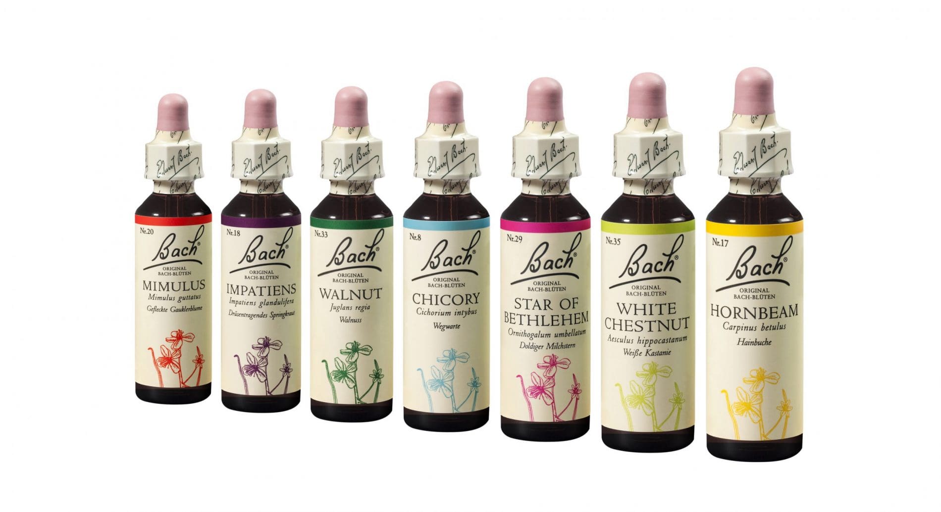 Bachblüten