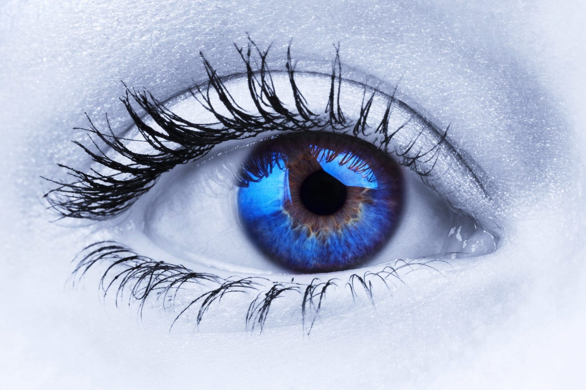 Augen