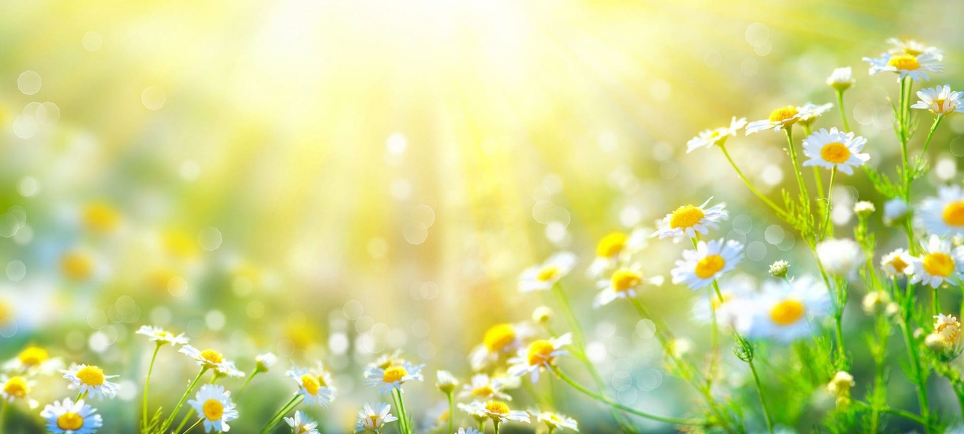 slider_3