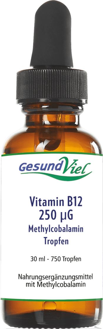 GESUNDVIEL Vitamin B12 Tropfen